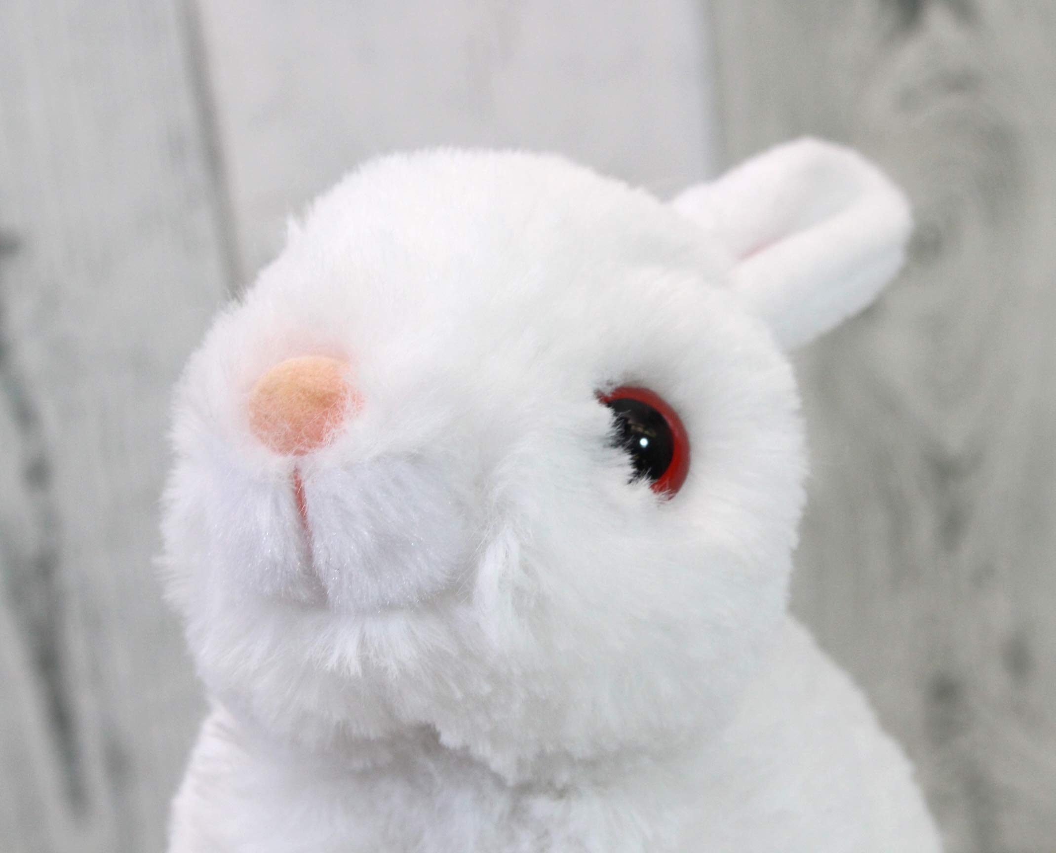 Amazon.co.jp: テイクオフ ぬいぐるみ うさぎのマロン レッキス
