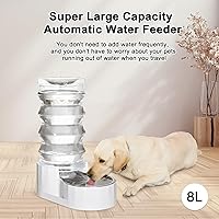 Vista 4 de RIZZARI Dispensador de agua por gravedad grande alimentador automático de agua de 8 litros con cuenco de acero inoxidable - Dos tapas y filtros