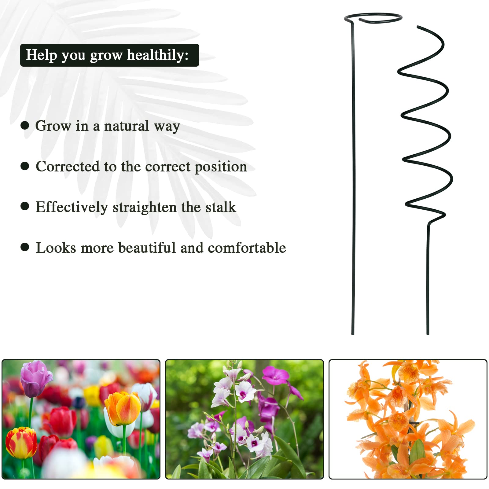 Supporti Per Piante In Metallo - Set Da 10 Pali Con 20 Clip, Per Rose, Pomodori E Rampicanti - Foto 11