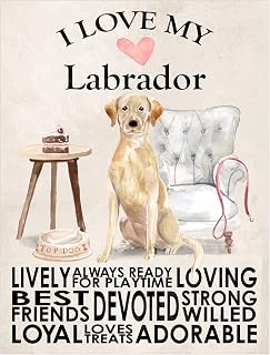 Labrador Metal Sign Dog Plaque Home Decor Bar Shed Garage Man Cave Poster Gift size 8x6in Ref 7742