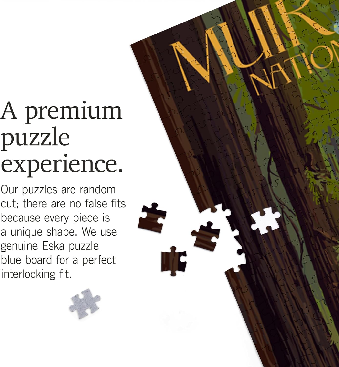 Muir Woods National Monument, California, Pathway (1000 Piece Puzzle, Challenging Jigsaw Puzzle for Adults, Made in USA)
