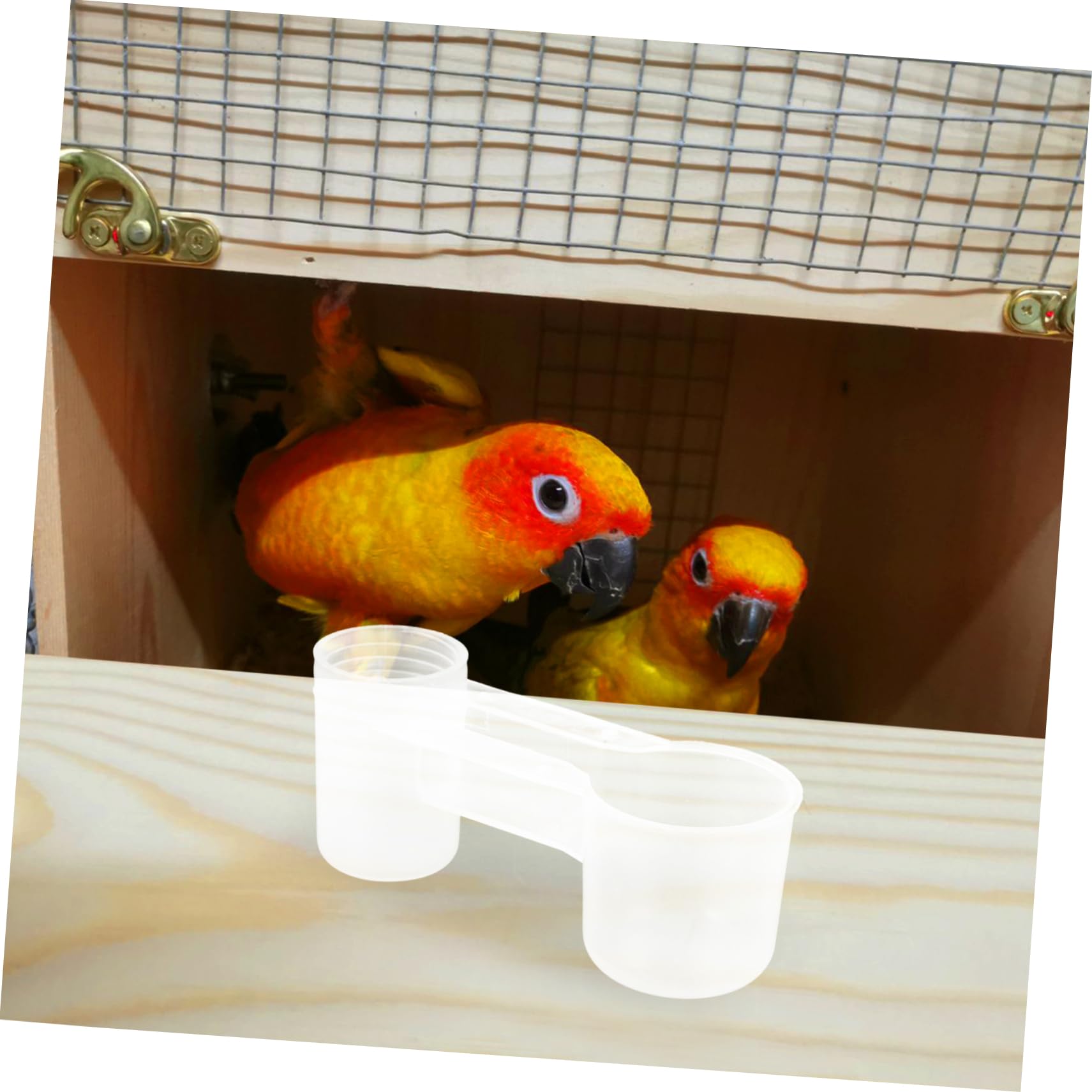 Bebedero Automático para Palomas de Plástico Blanco Doble Puerto, Fácil Limpieza y Agua Limpia para Pájaros Hogar o Zoológico