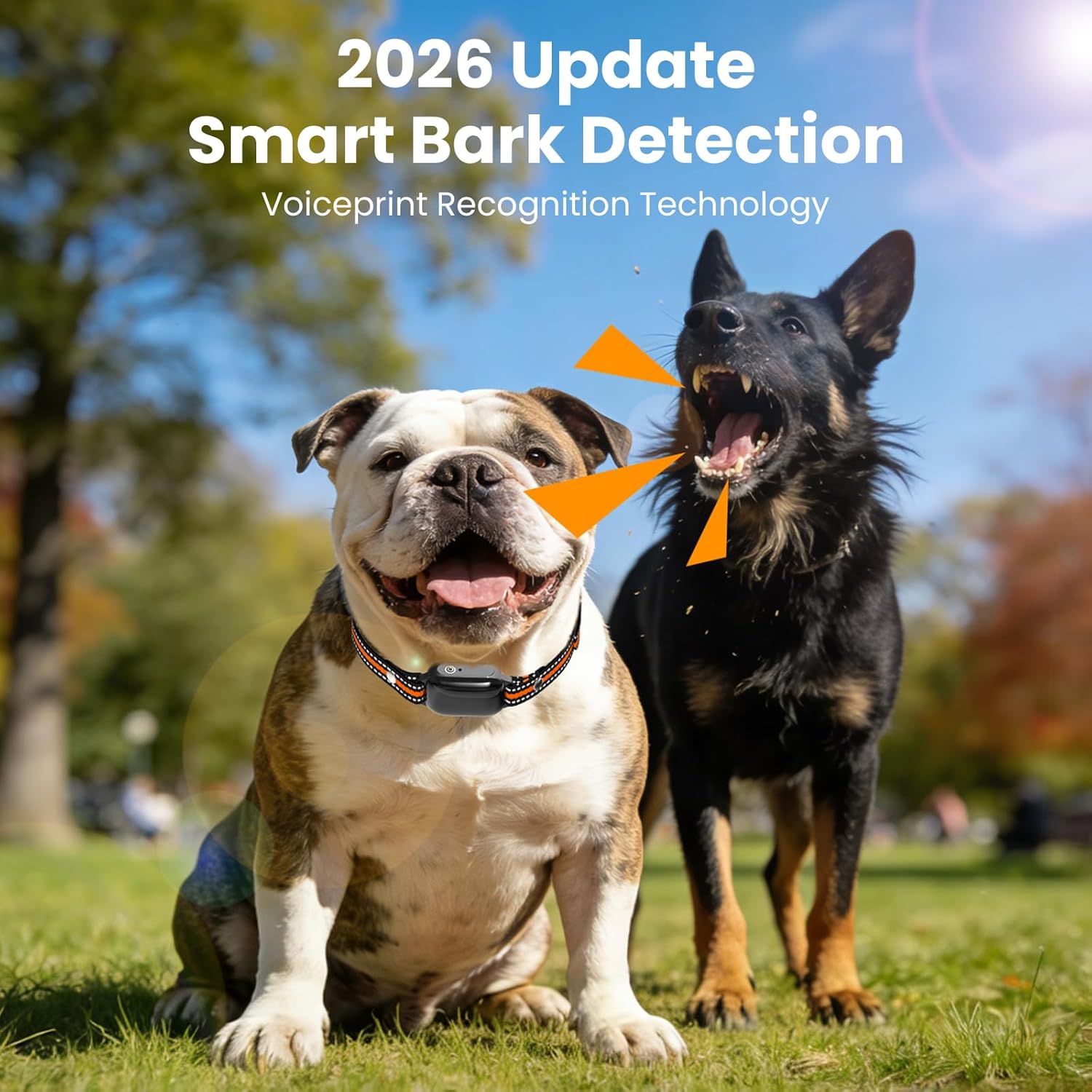 2 in 1 Dog Bark and Shock Collar - 4500FT Bark Collar with Remote Control, Anti Bark and 3 Training Modes (Tone, Vibration, Safe Shock, IP67 Waterproof, Portable Training Collar for 5-120lbs Dogs