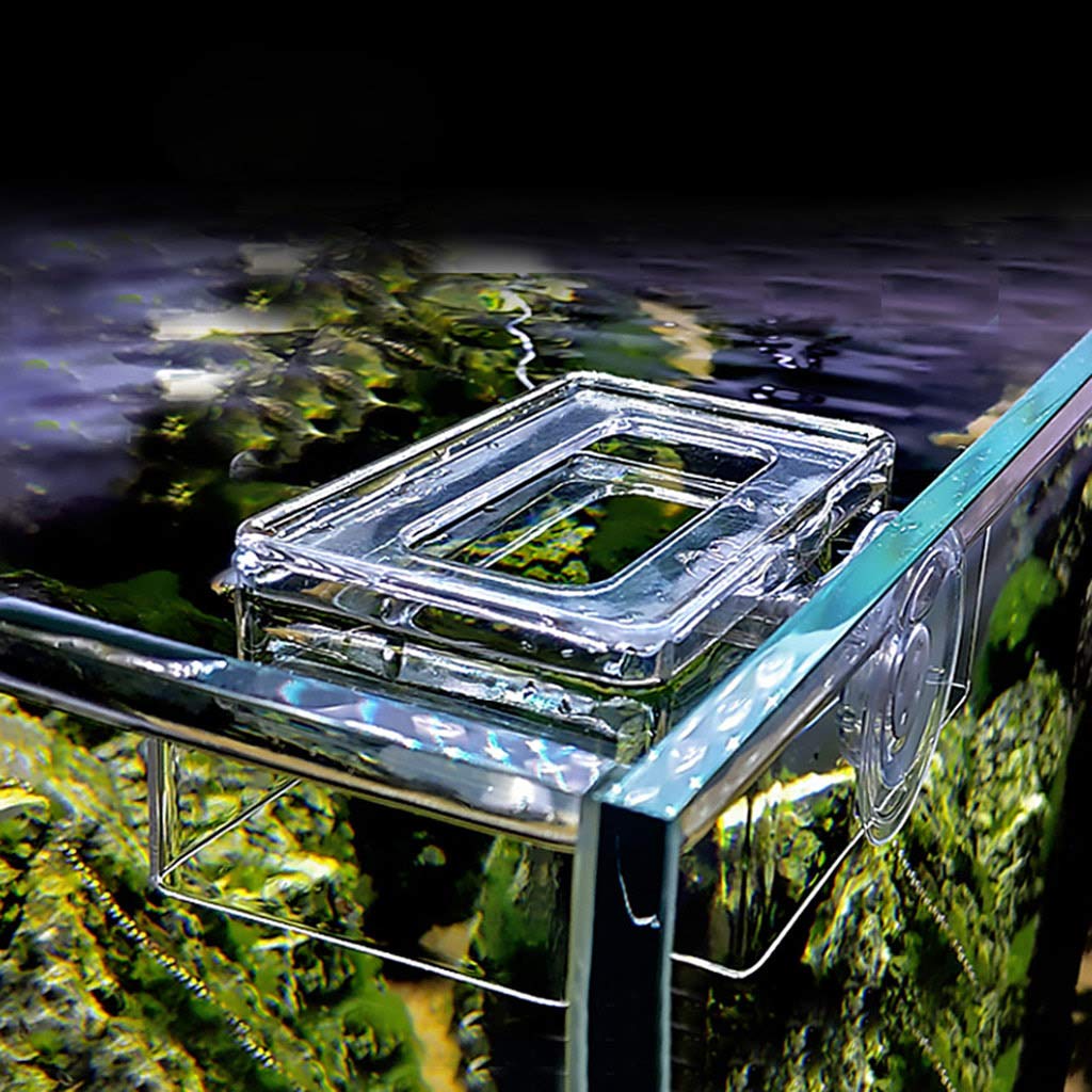 XISAOK Aquarium Feeding Floating Rectangle Food Feeder Clear Acrylic Feeding Trough Fish Feeder for