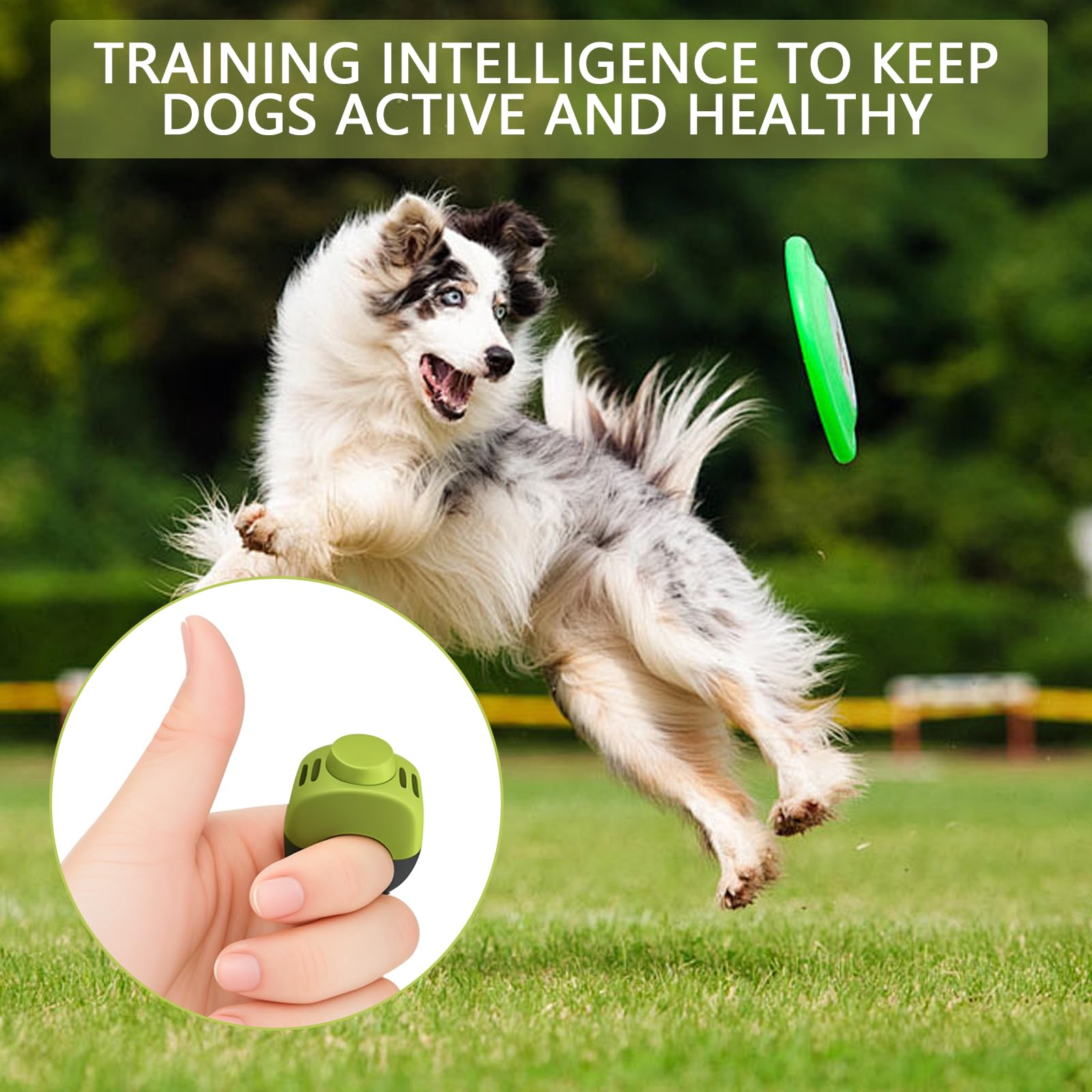 2 Clicker Chien Dressage avec Anneau 19mm/21mm, Clicker pour Chien en Vert & Gris, Clicker Chien pour Dressage Chiot, Éducation & Rappel