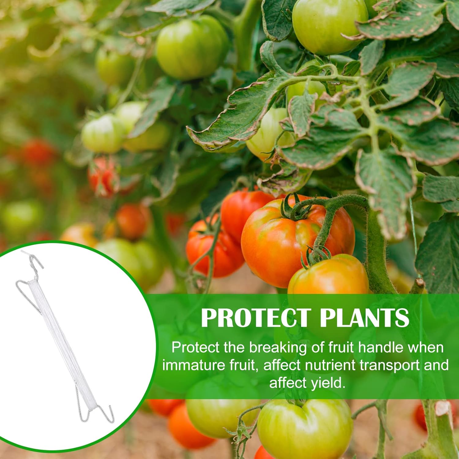 Rtteri 30 Pcs Plant Climbing Hooks Tomato Support J Hooks Garden Hooks for Plant Greenhouse Flower Vine Crop Trellis Kit