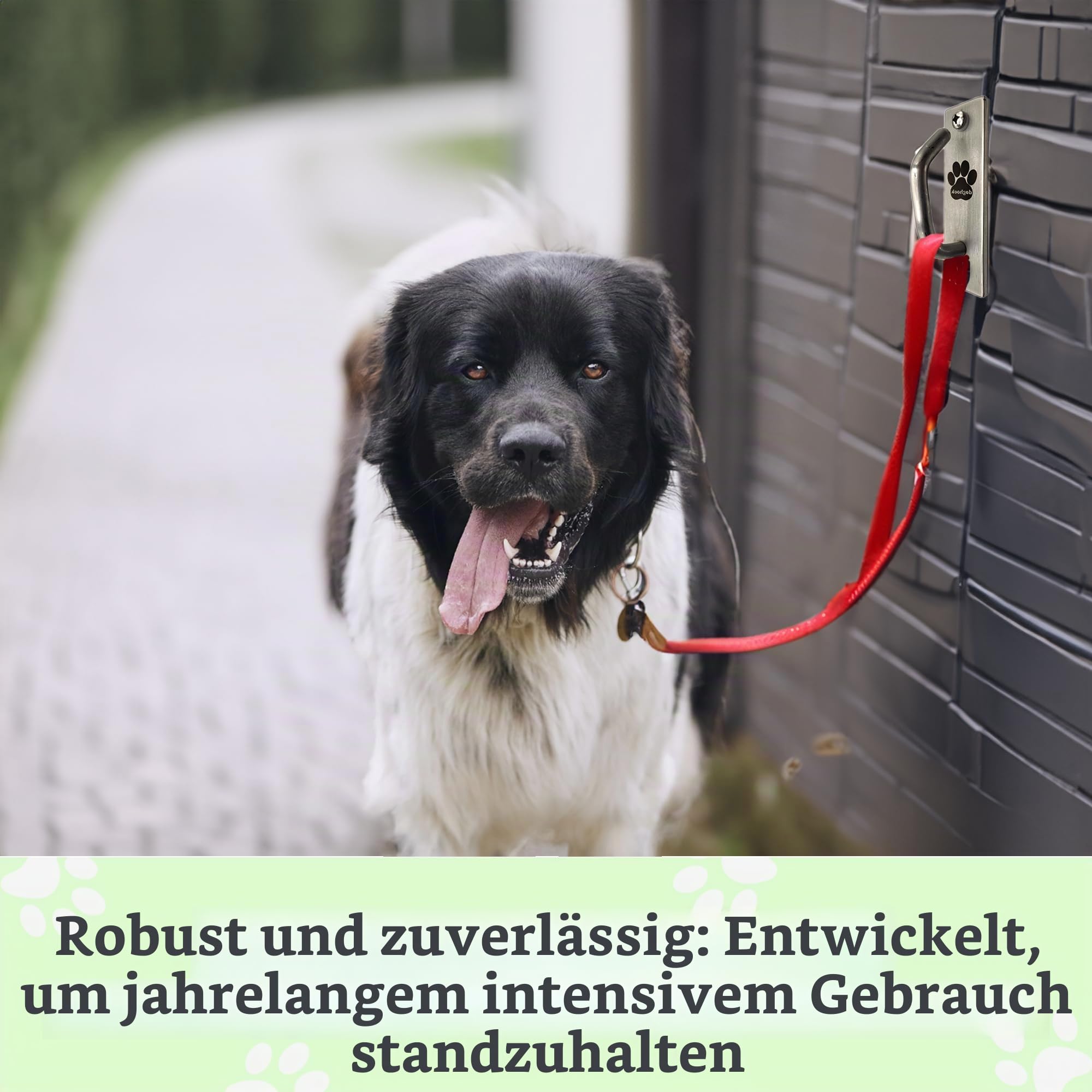 Hundeanhänger, sichere Hundeleine, Parkmontage, für den Innen- und Außenbereich, Wandhaken, aus Edelstahl, praktisches Leinenmanagement für Zuhause und Geschäft, schmal, kompakt