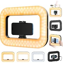 yAyusi Cell Phone Light for Video Recording, Handheld Phone Stabilizer with Light, 8000mAh LED Selfie Phones Ring Light with Phones Holder, Smartphone Video Rig for Camera, Action Camera, Vlog, TikTok