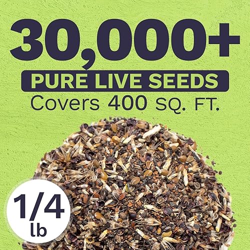 Miniatura 3 de Mezcla de flores silvestres de California, bolsa a granel de 14 libra, más de 30,000 semillas nativas, polinizadas abiertas y sin OMG