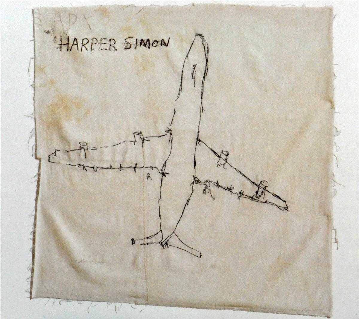 Harper Simon - Harper Simon (CD 2010) * NEW & SEALED *