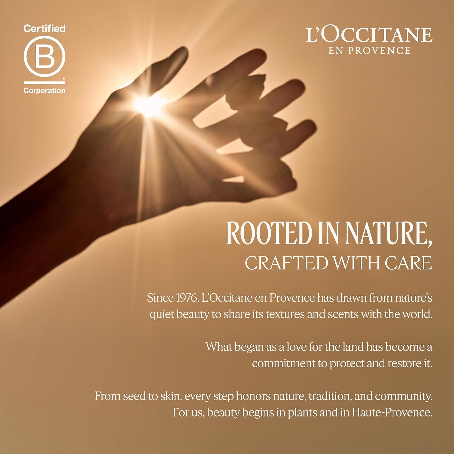 Лосьон для рук L'OCCITANE с вербеной, 300 мл, фото 8