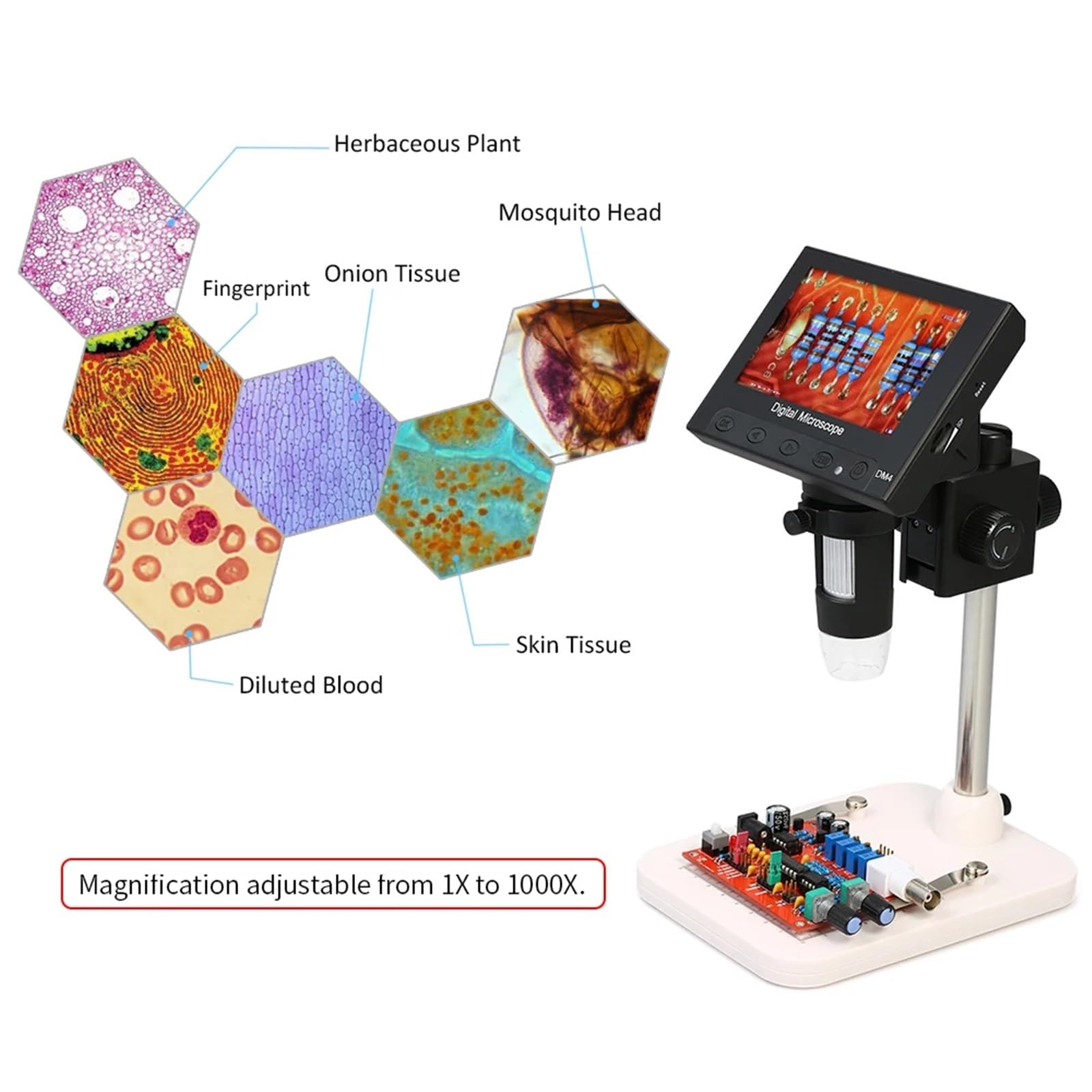 Digitales Mikroskop. Tragbares LCD-Mikroskop 4,3 Zoll Mit LED-Digitallupe 720P Tragbar