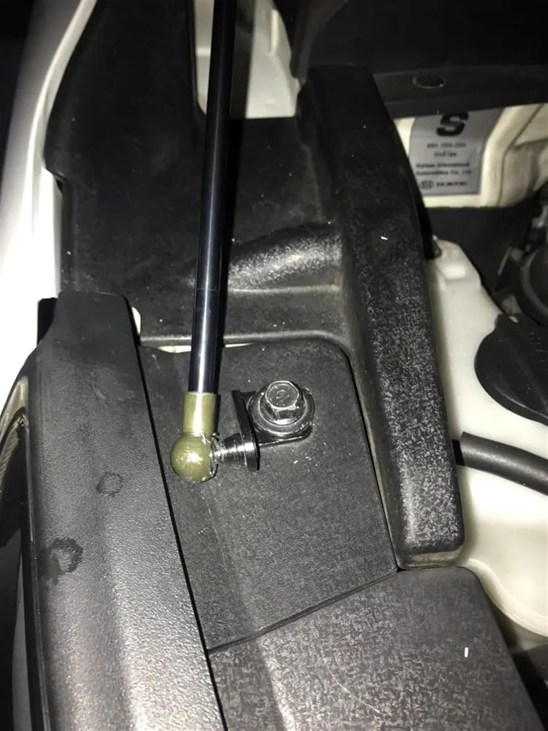 本物保証 WISHINGWELL ジェームスリジィ RIZZI 3D アート絵画 JAMES