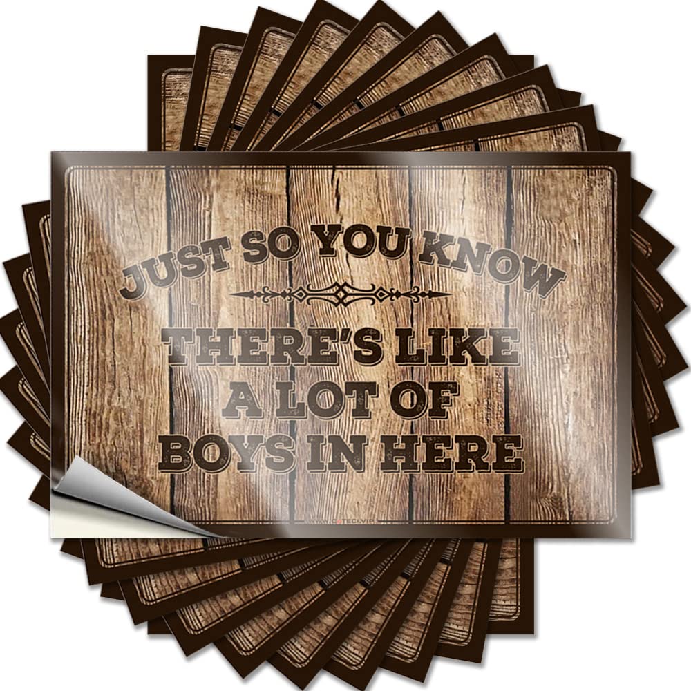 Men Stuff Decal - Western Bathroom Billiards Bumper Just So You Know There's Like A Lot of Boys in Here(12X18CM)