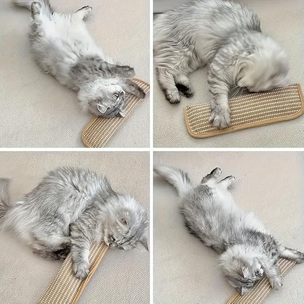 Cuscino Giocattolo per Gatti 2-in-1 e Tiragraffi, Giocattolo Interattivo con Catnip per Gioco Solitario, Morbido Tappetino Tiragraffi per Gatti per Alleviare lo Stress e Combattere la Noia - 2