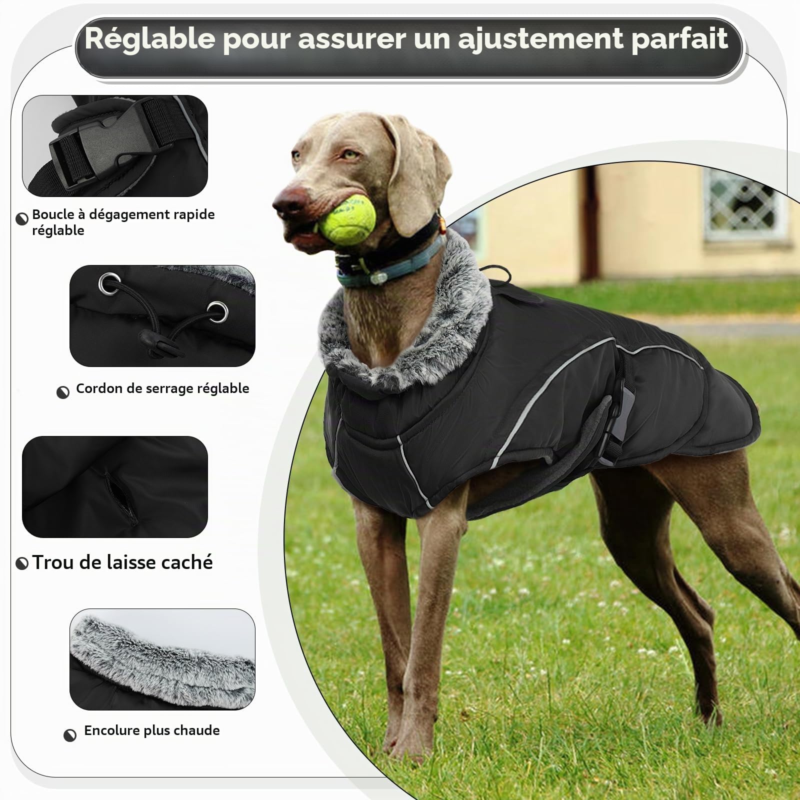 Manteau imperméable pour chien Grande veste chaude Chihuahua gilet chauffant vêtement d'hiver coupe-vent pour chiens (Noir, XL)