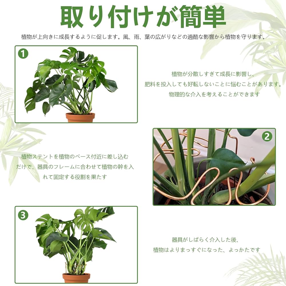 モンステラ 鉄スタンド　黒 61ukn+eb6lL._SS200_.jpg