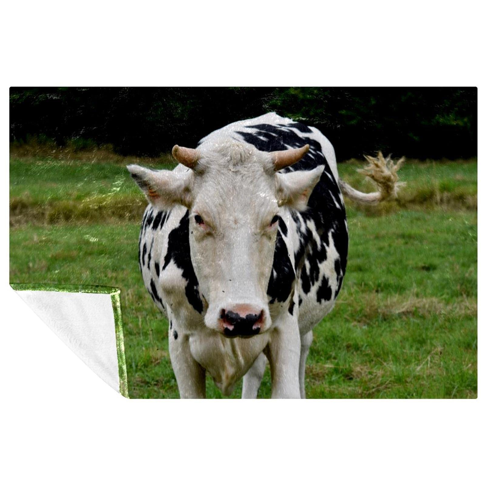 Couverture vache blanche et noire 150x100 cm en flanelle douce pour lit et canapé