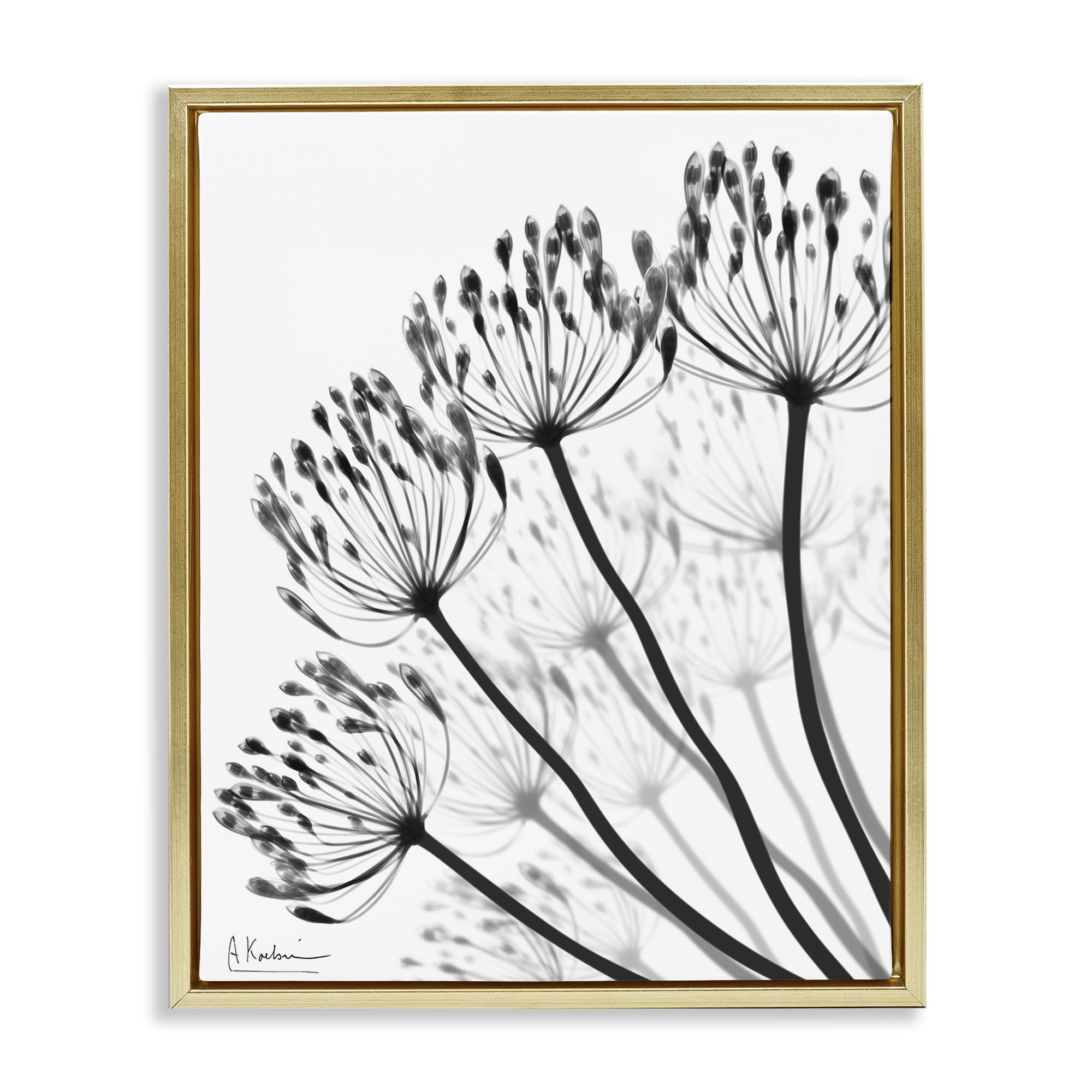 Stupell Industries 'Floral Fan Dandelions', Floating Frame Canvas Art, Gold, 17 x 21 Inches, Easy to Hang and Sturdy, Made in USA, by Albert Koetsier