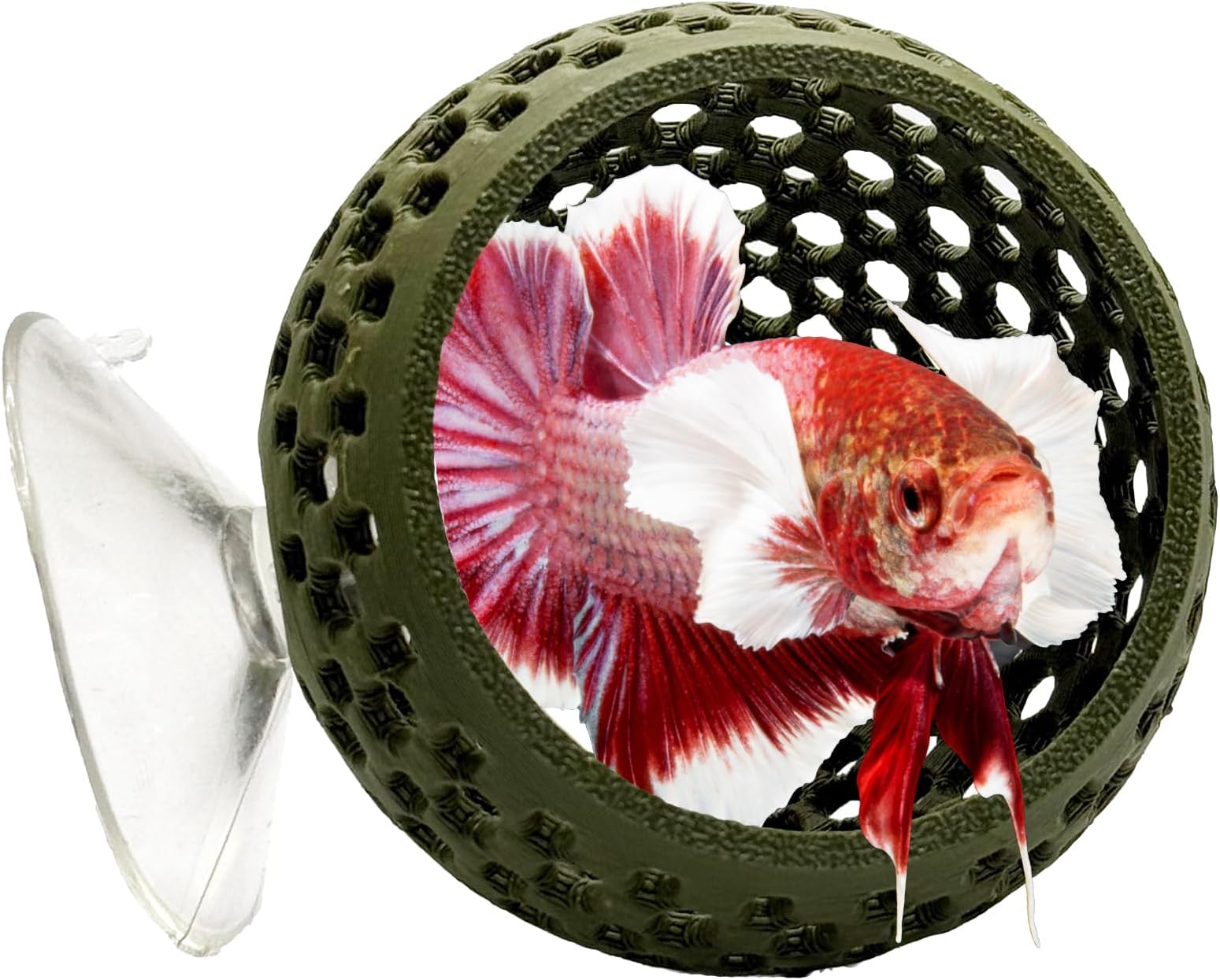 - Natural Betta Bulb Hide | Betta Rest Fish Tank Ornament | Aquarium Cave with Suction Cup for Small Fish Tank, Betta Habitat, Shrimp Hideout, Aquatic Decor (Forest Green)