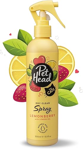 Pet Head Felin' Good Cat - Spray de limpieza en seco | Aroma afrutado | Champú en aerosol para gatos malolientes | Nutritivo y desodorante | Vegano