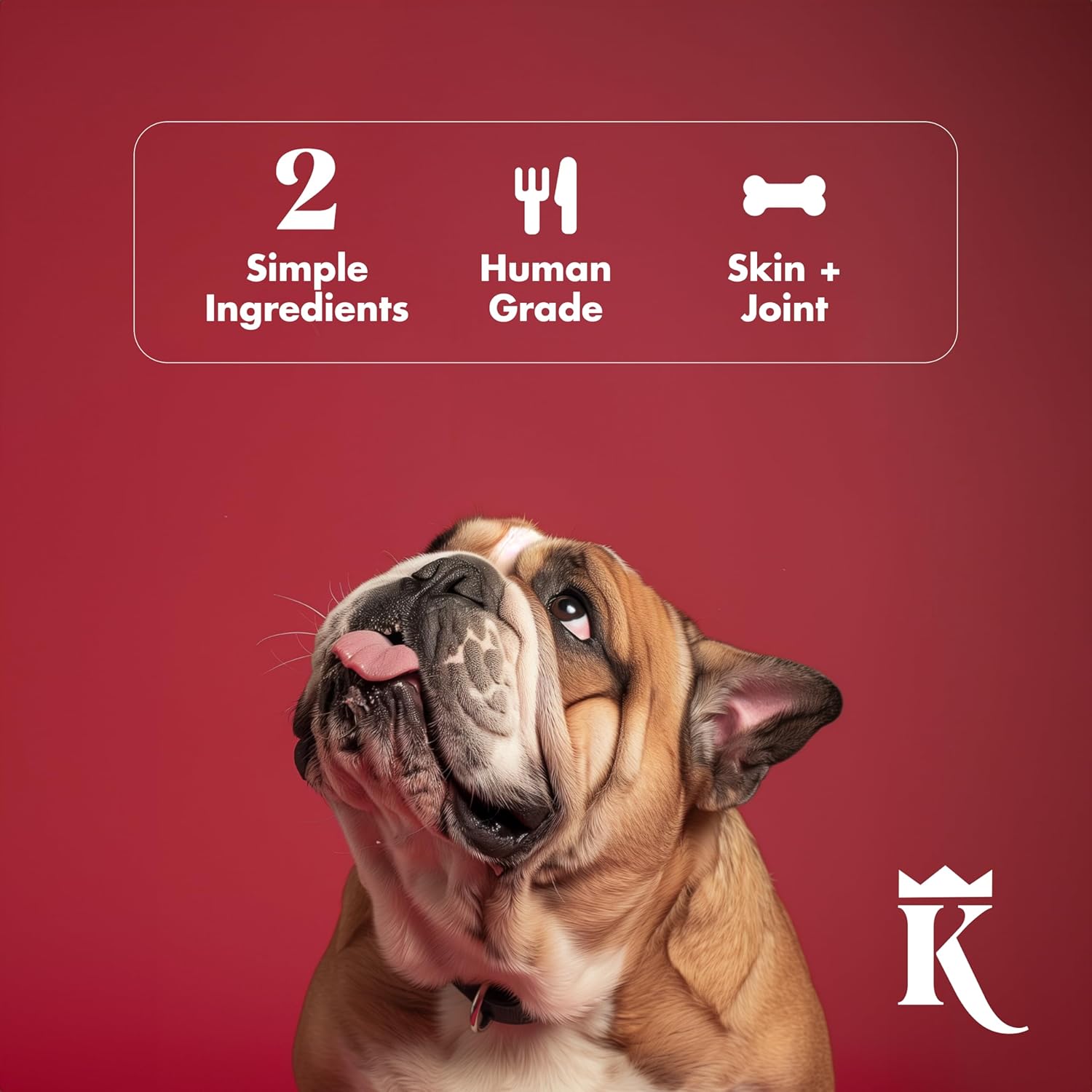 King Lou Pets - Bone Broth Booster Holistic Defense - Beef Bone Broth and Turkey Tail Mushroom - Meal Topper for Dogs and Cats - Food Topper for Immune Support