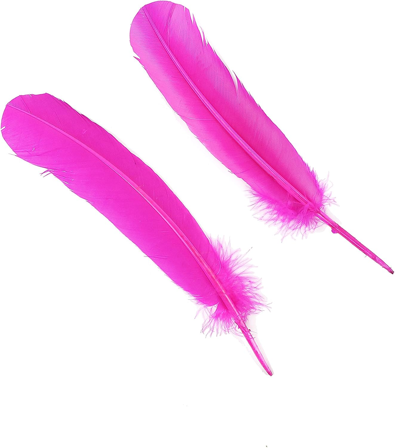 Zucker - Turkey Quills by Pound - Bulk Feathers for Crafting, Decoration, Home Décor, Holiday Decorating, Weddings and Events, Cosplay, Costumes - Left Wing Feathers - Shocking Pink