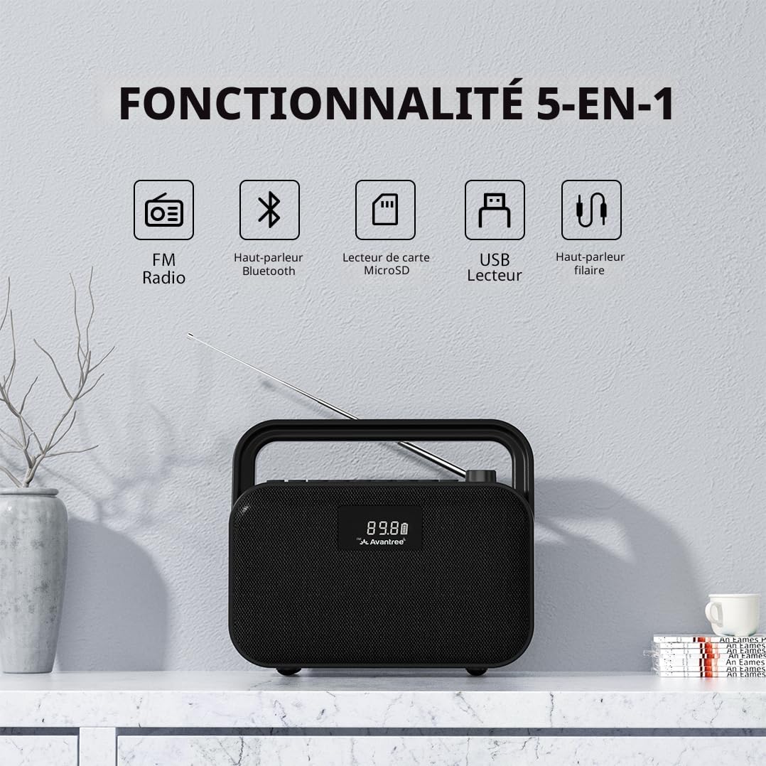 Avantree PowerByte - Radio FM Portable avec Enceinte Bluetooth Stéréo 30 W