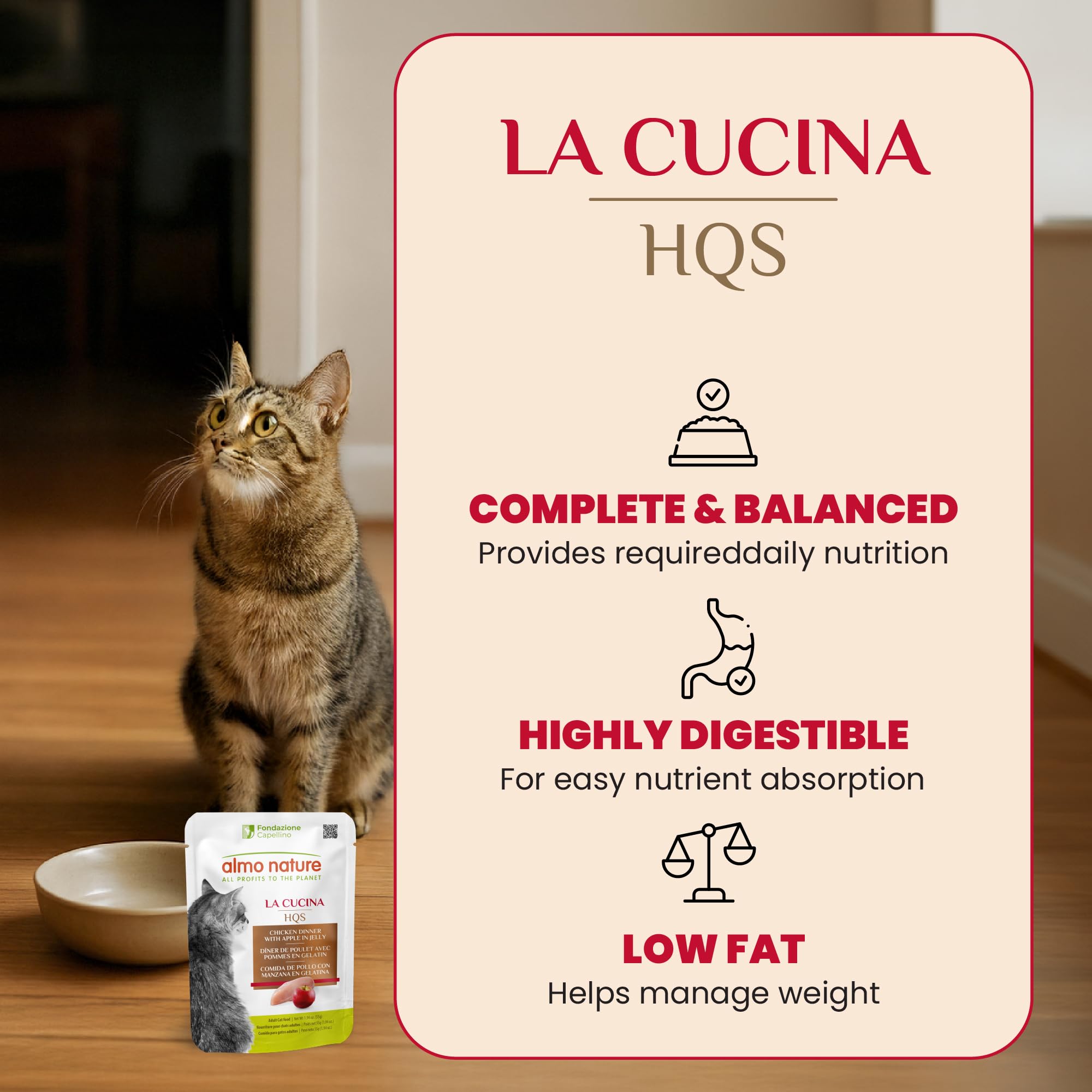 Amazon.com : almo nature HQS Complete CAT Wet Cat Food Chicken