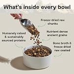 Open Farm RawMix Ancient Grains de la recette d'Ocean sauvage pour les chiens, y compris le kibble, le broyage osseux et le gel séché cru, inspiré par la protéine sauvage, élevé humainement et les fruits et légumes non OGM, 20 Voir lb
