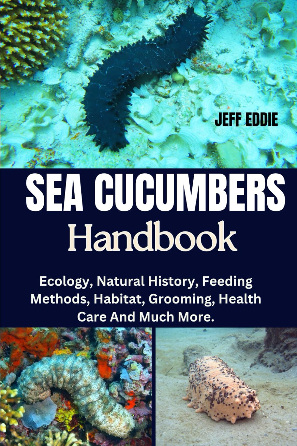 SEA CUCUMBERS HANDBOOK: Ecology, Natural History, Feeding Methods, Habitat, Grooming, Health Care And Much More.