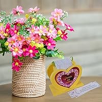 Vista 2 de Promesas de Dios Tarjetas, en Español, Tarjetas de las Escrituras Españolas, 108 Versículos Bíblicos, Promesario biblico, Regalos Cristianos