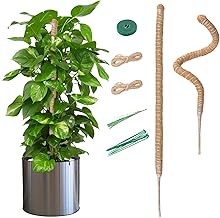 Mcbazel Pack of 2 Flexible Coconut Foam Stakes 70 cm for Climbing Plants with Ties, Ideal for Supporting Plants such as Monstera, Pothos, and Indoor Potted Plants