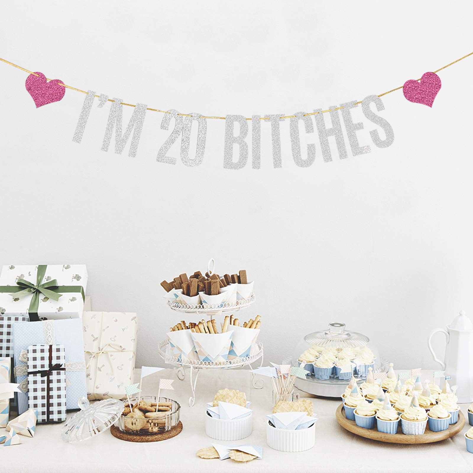 Silver Glitter 'I'm 20 Bitches' Birthday Banner - Funny 20th Birthday Party Decorations