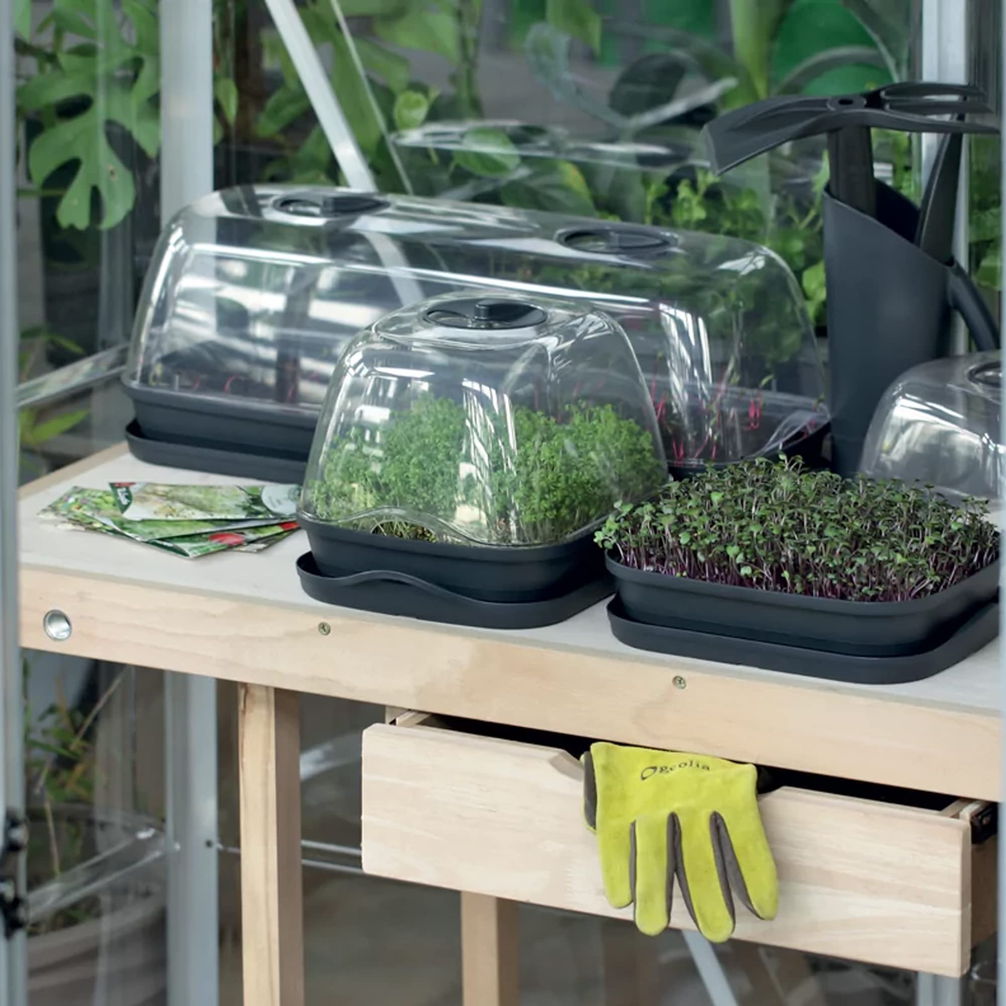 Prosperplast Semillero/Bandeja Multiusos respana Table Greenhouse, Dimensiones (mm) 515x196x185, Color Antracita