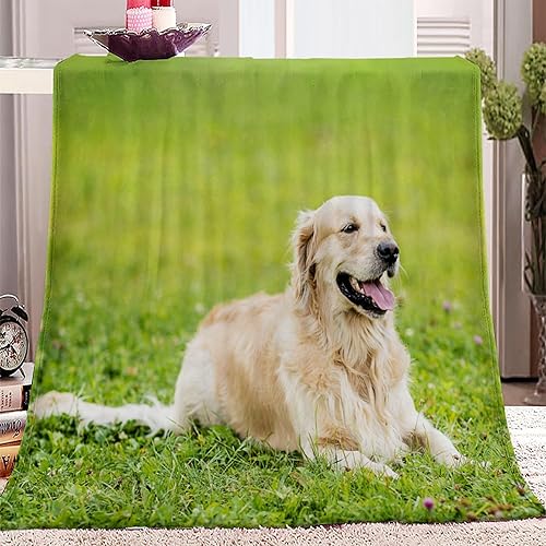 Manta de forro polar Animal-Labrador Retriever para sofá, cama y sofá (60 x 80 pulgadas), ultra suave, ligera y acogedora, no se desprende pelusa,