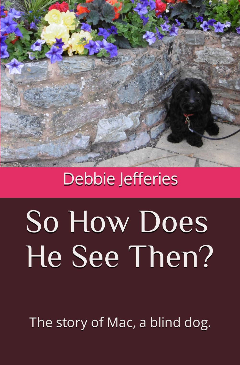 So How Does He See Then?: The story of Mac, a blind dog.
