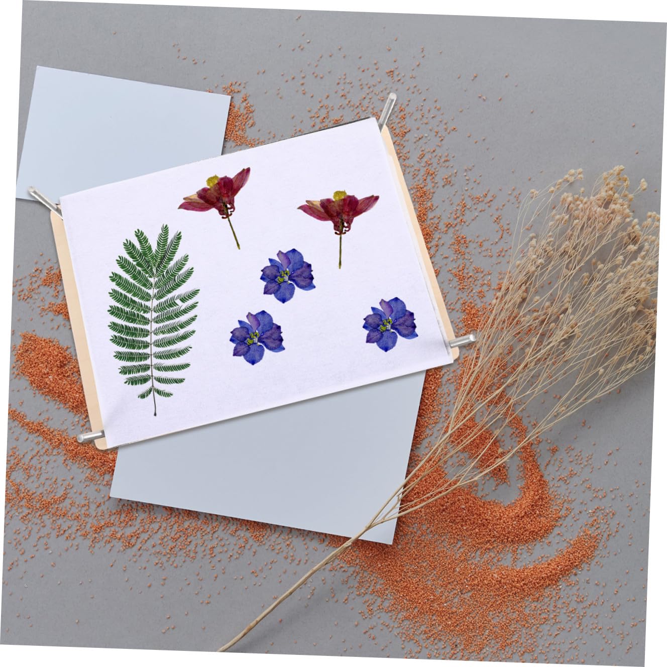 SUPVOX Strumento Professionale per Pressatura Fiori Piastre Essicanti Riciclabili in Legno e Metallo Kit per Foglie e Fiori, per Attività DIY per Adolescenti