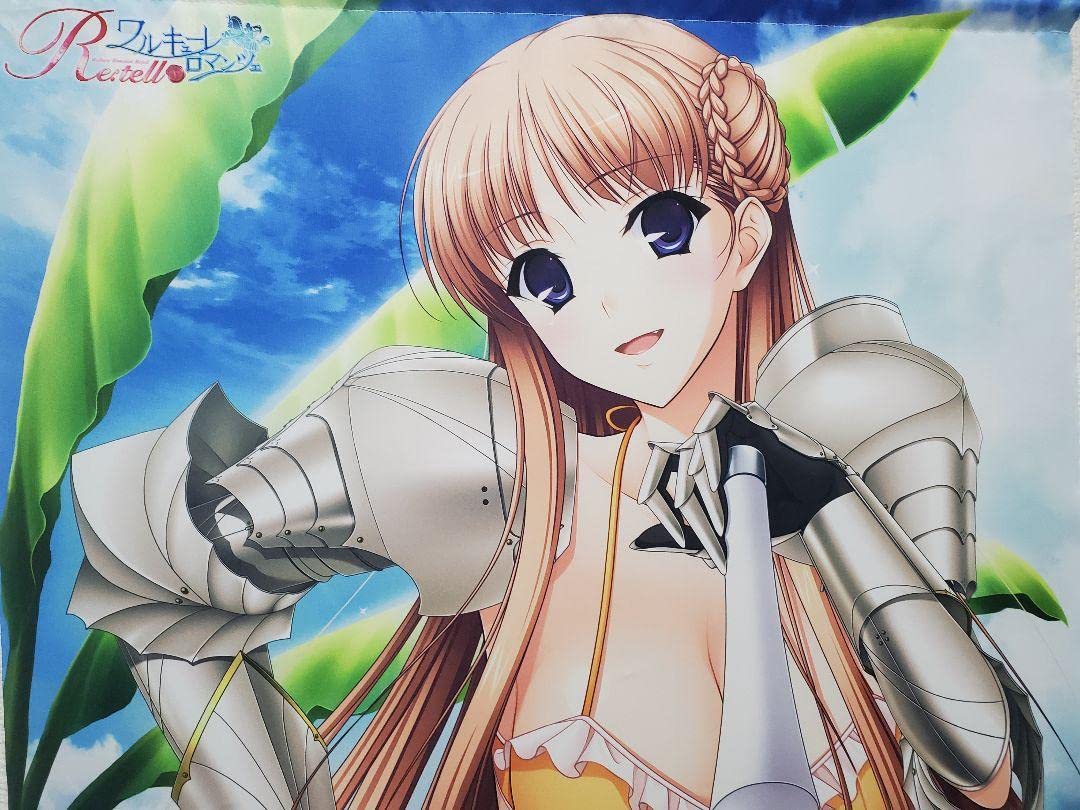 Amazon.co.jp: V25 ノエル ワルキューレロマンツェ C86 グッズ 特大