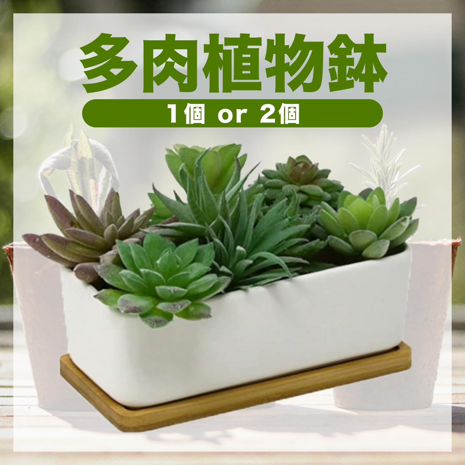 Rectangular Ceramic Succulent Pot with Bamboo Tray