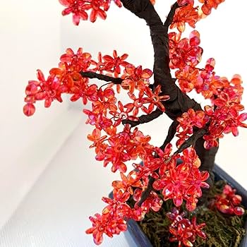 ビーズフラワー　紅葉 Amazon.co.jp: 2 ビーズフラワー ミニ盆栽 もみじ 紅葉 赤