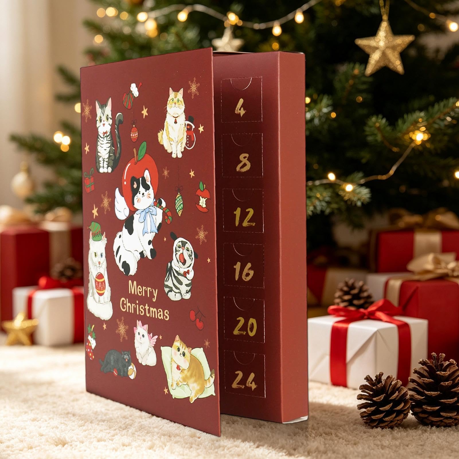 Conto alla rovescia per calendario natalizio 24 giorni, scatole riempibili