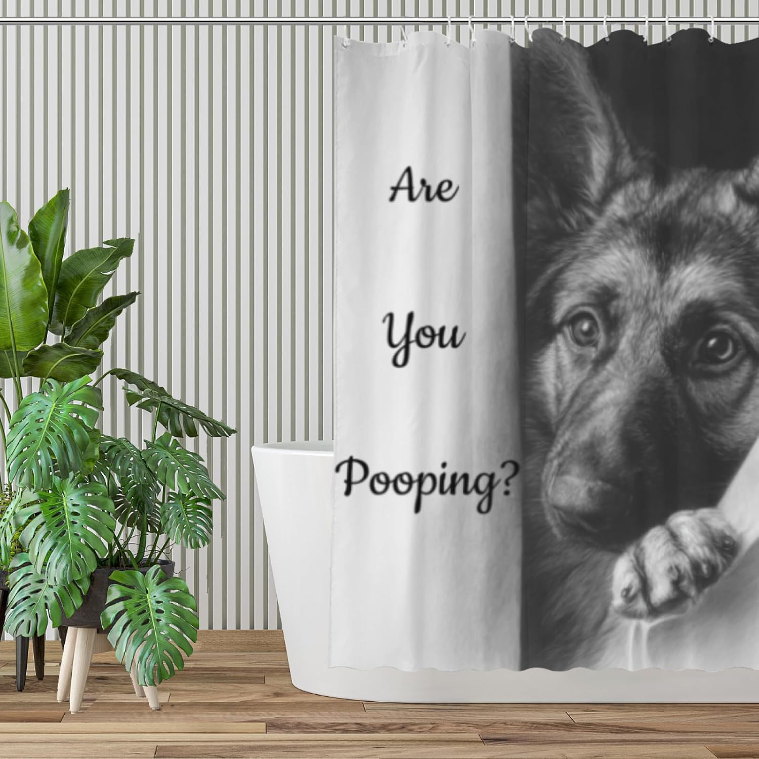 German Shepherd Shower Curtain Funny are You Pooping Black and White Bath Curtain Bathroom Decor Animal Toilet Resistant Fabric with 12 Hooks 72x72