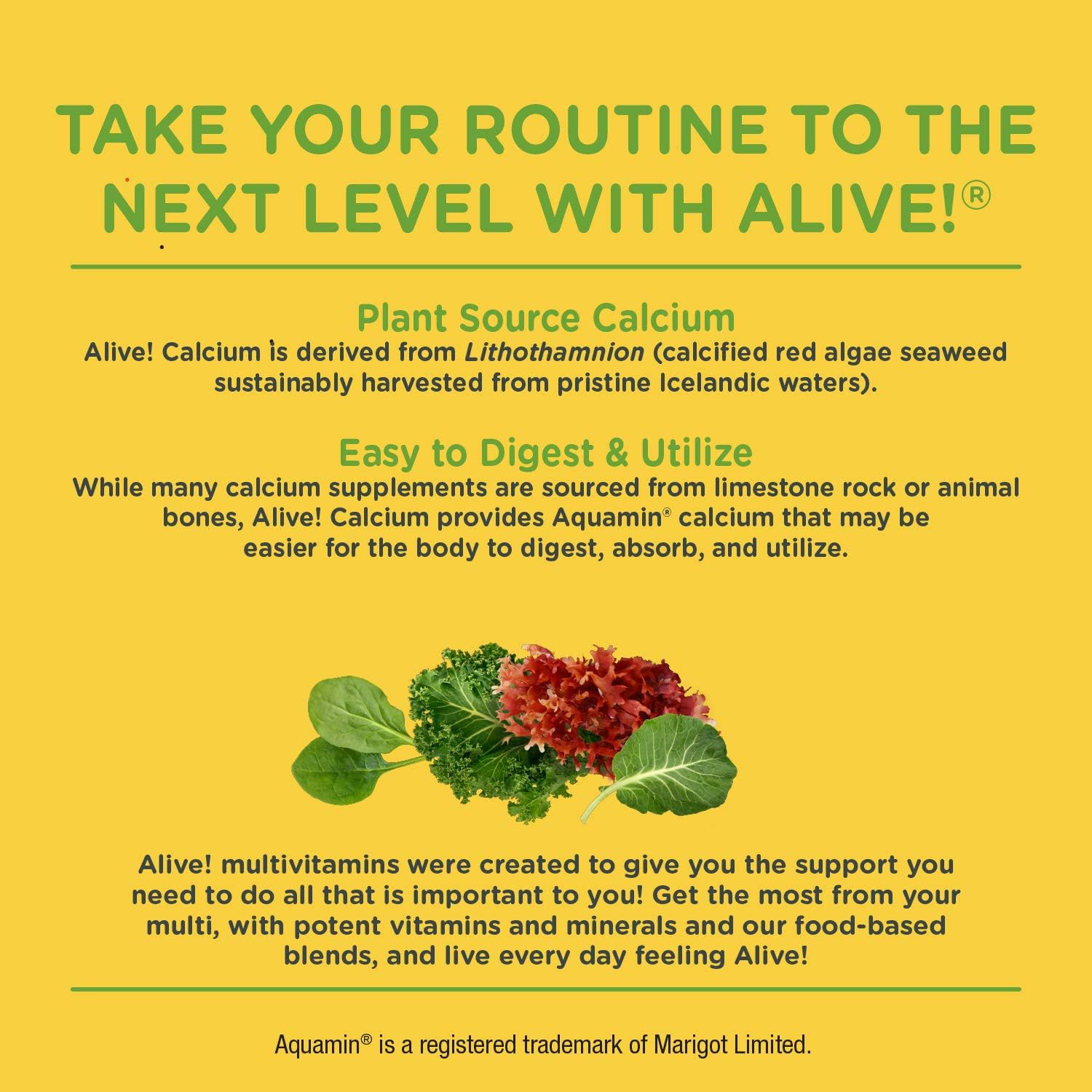 Nature’s Way Alive! Calcium Bone Support*, Max Absorption, Plant Source Calcium, 120 Tablets