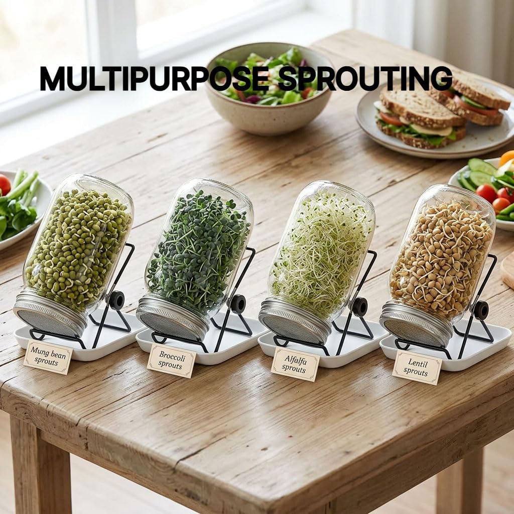 4 Large 1000ML Wide Mouth Mason Jar Sprouting Kit, with Stainless Steel Stand, Drain Tray & Cleaning Brush, High Germination for Beans, Broccoli, Fresh Sprouts