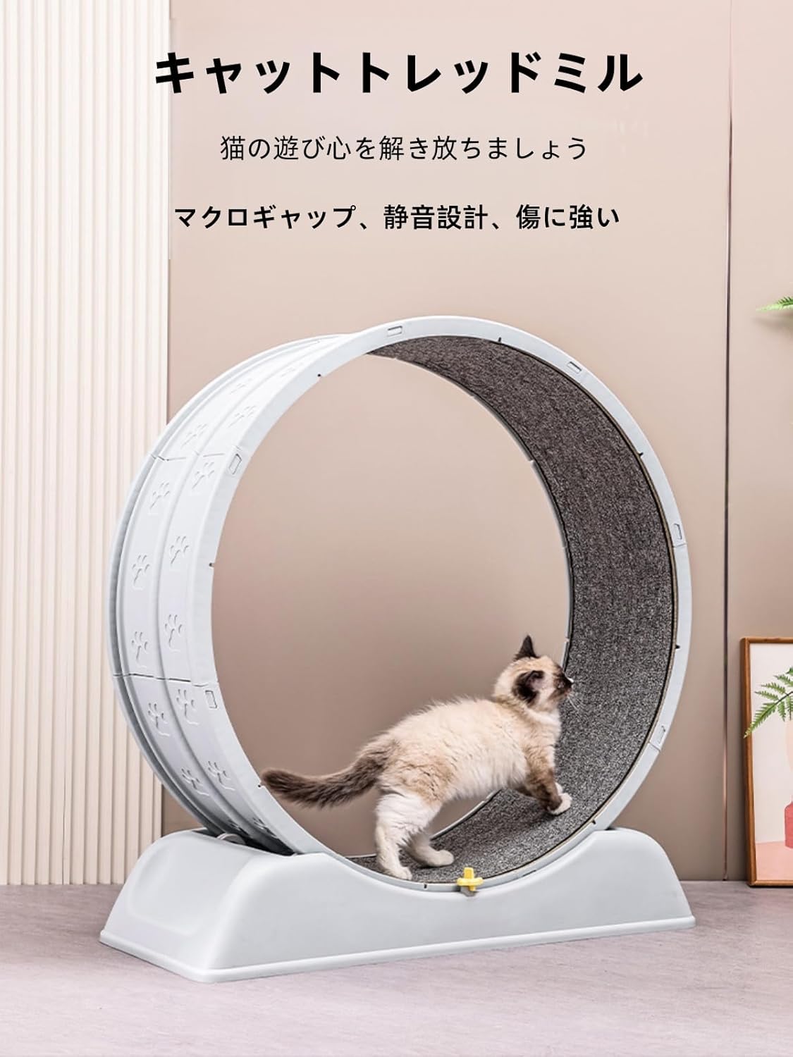 Volleboキャットホイール 猫用ランニングマシン 軽量プラスチック素材 組み立て簡単 静音設計 猫の運動不足解消とストレス発散