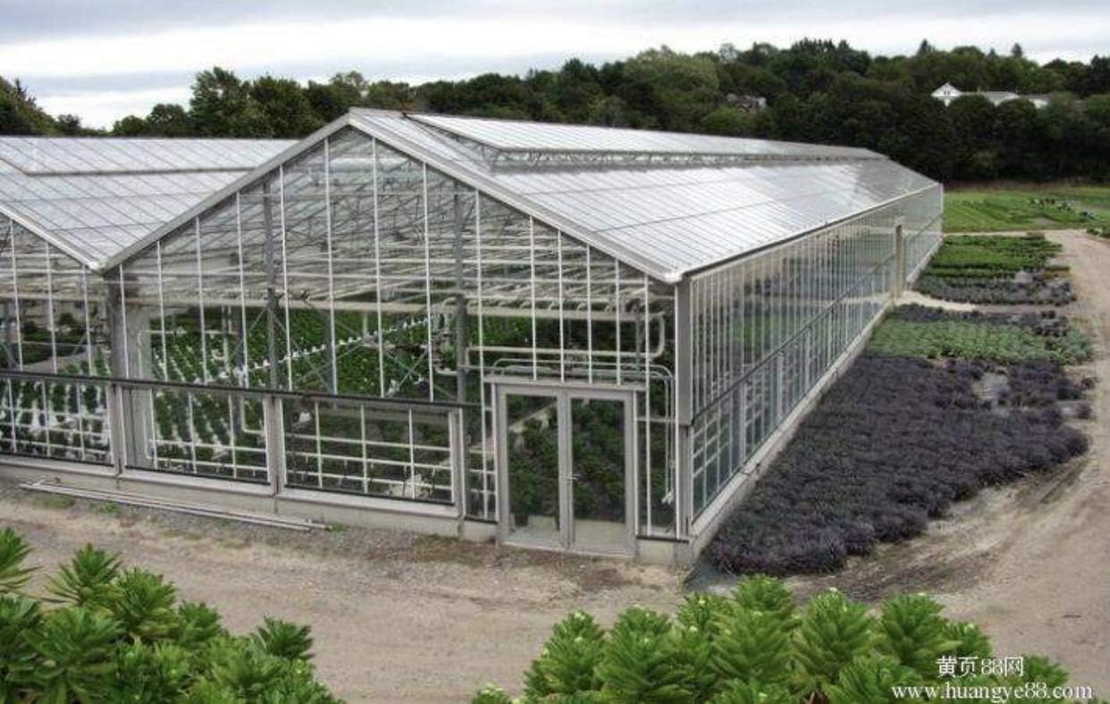 8mm Twin Wall Greenhouse Panels, Greenhouses with Polycarbonate Roof, Outdoor Covering