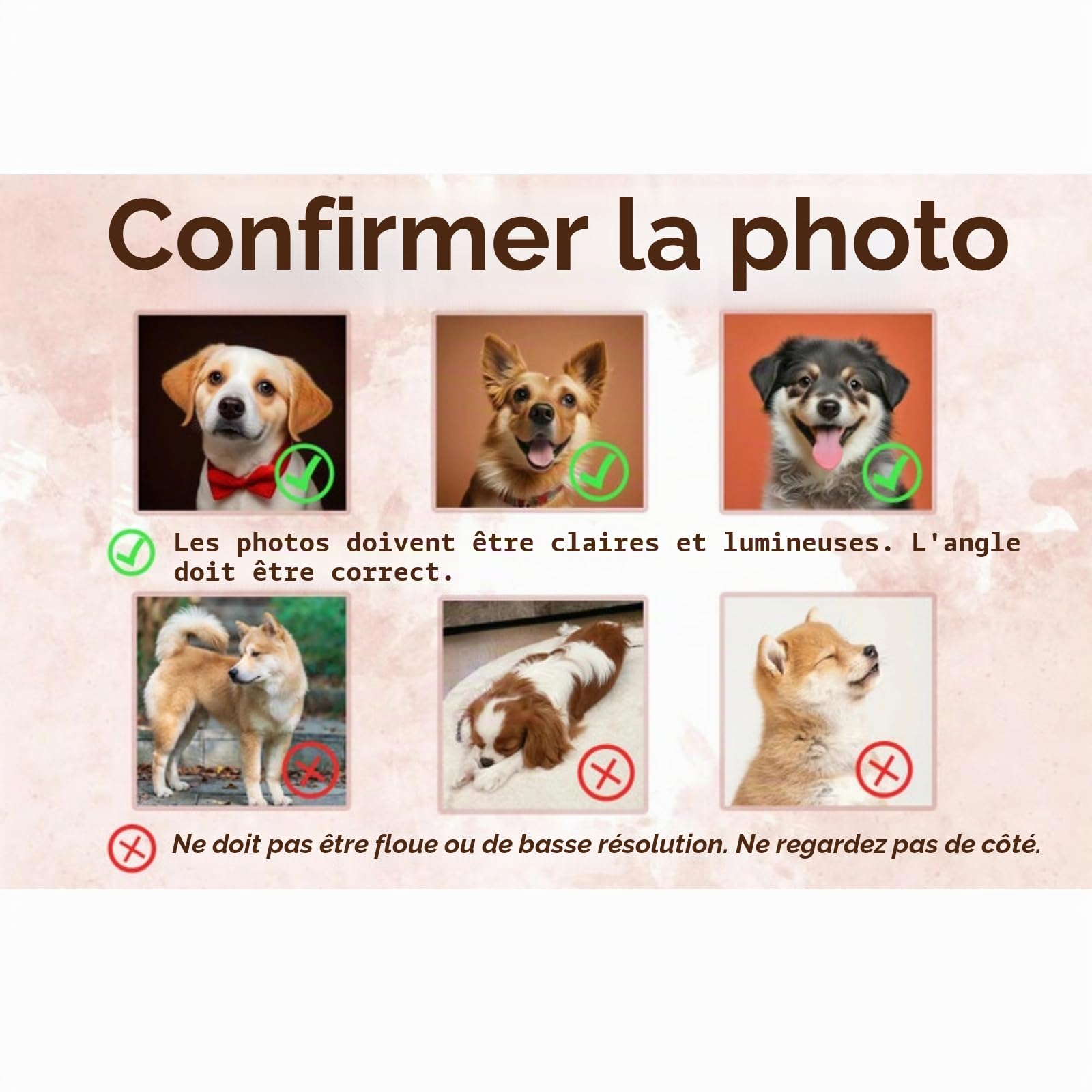 Sweat personnalisé pour animaux de compagnie, photo pour animaux de compagnie + nom pull personnalisé portrait de chien pull sweat à capuche col rond chat personnalisé