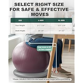 Trideer Exercise Ball for Office Desk, Yoga Ball Chair to Relieve Back Pain, Stability & Fitness Ball Seat with Base, Home Gym Core Workout, Abs, Stretching & Therapy