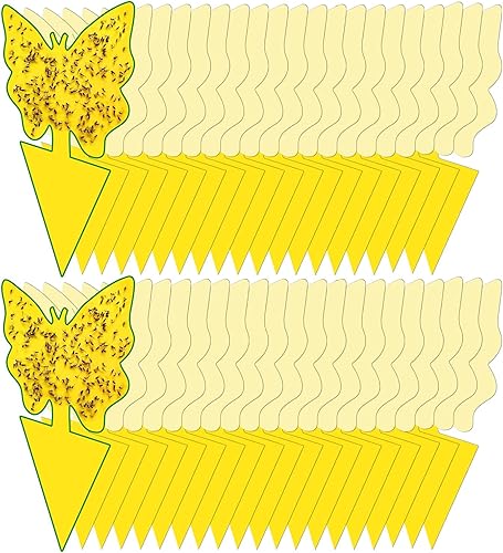 Miniatura 9 de Paquete de 24 adhesivos para moscas de la fruta, hongos y mosquitas, trampa amarilla pegajosa, insecticida para interiores y exteriores